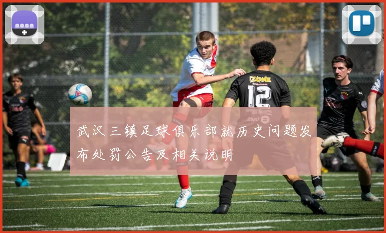 武汉三镇足球俱乐部就历史问题发布处罚公告及相关说明