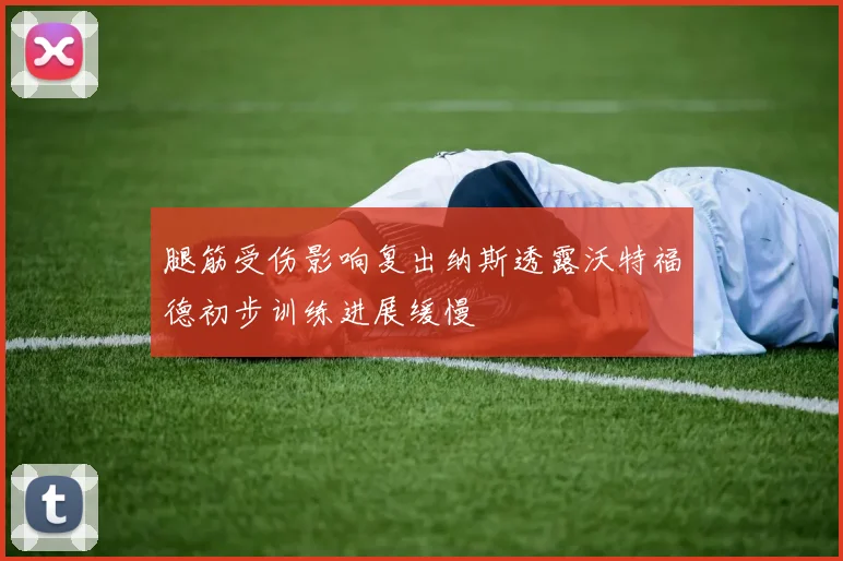 腿筋受伤影响复出纳斯透露沃特福德初步训练进展缓慢
